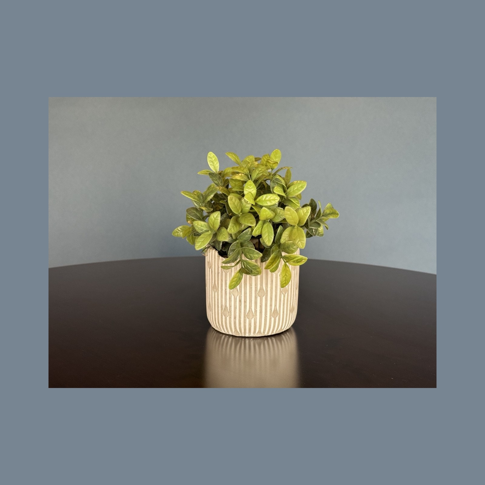 Faux Greenery in White Ribbed Pot