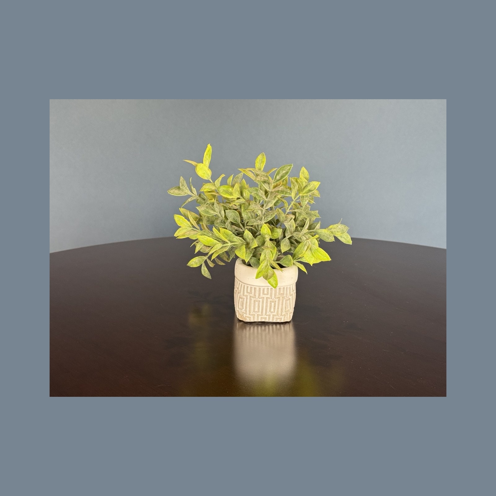 Faux Greenery in Cream Textured Pot